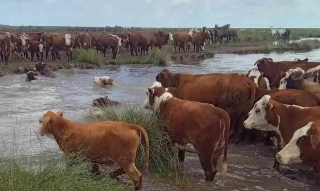 Emergencia en el Norte de Santa Fe: El Gobierno anunció ayuda directa y créditos para productores