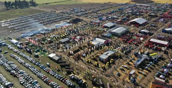 Imagen de la noticia